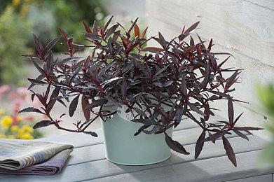 机甲新游《百万吨级武藏》13分钟实机视频公布